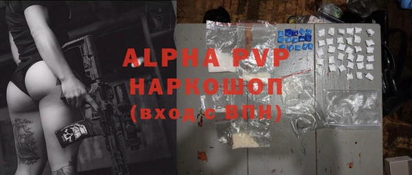PSILOCYBIN Губаха